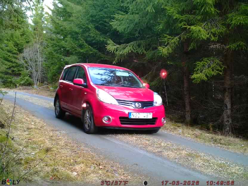 Bild från STORATRÄA