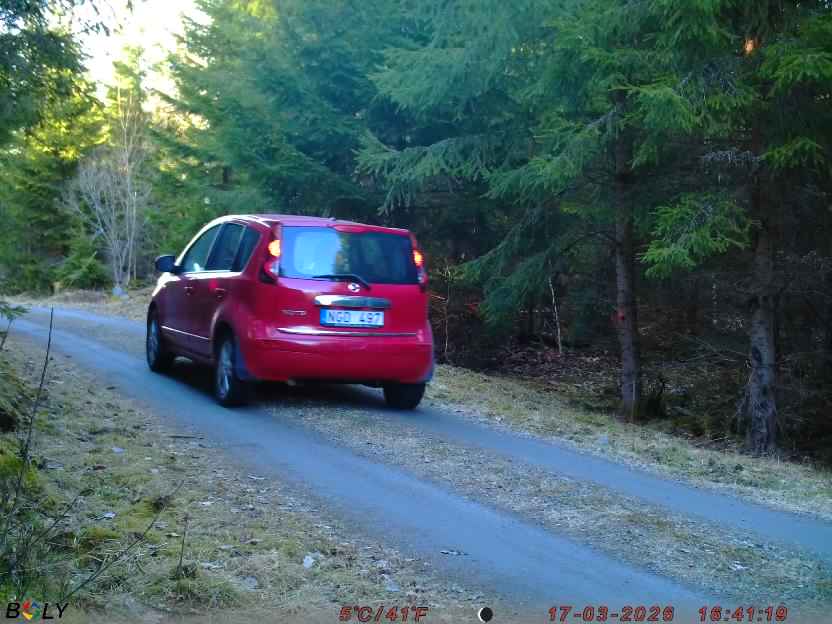 Bild från STORATRÄA