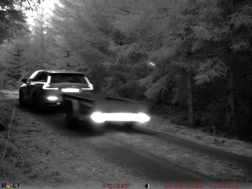 Bild från STORATRÄA