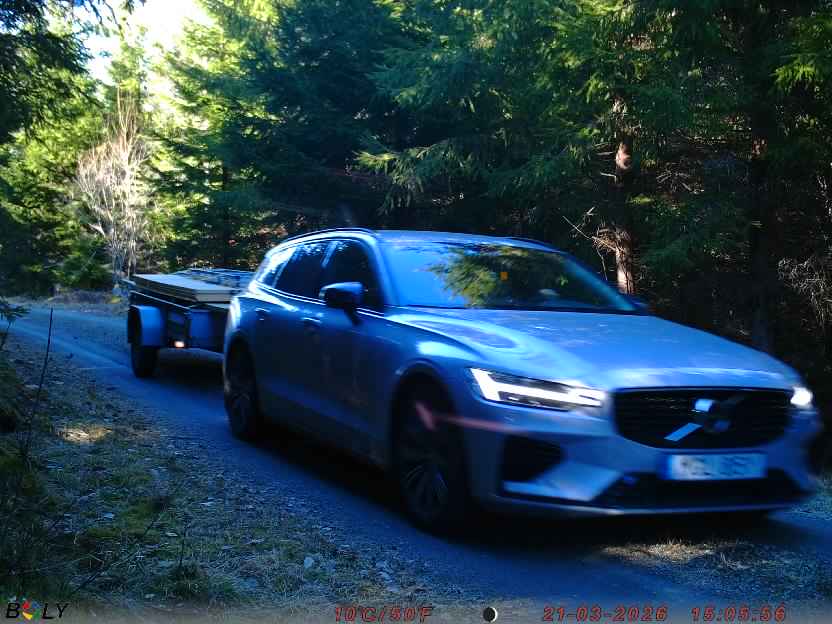 Bild från STORATRÄA