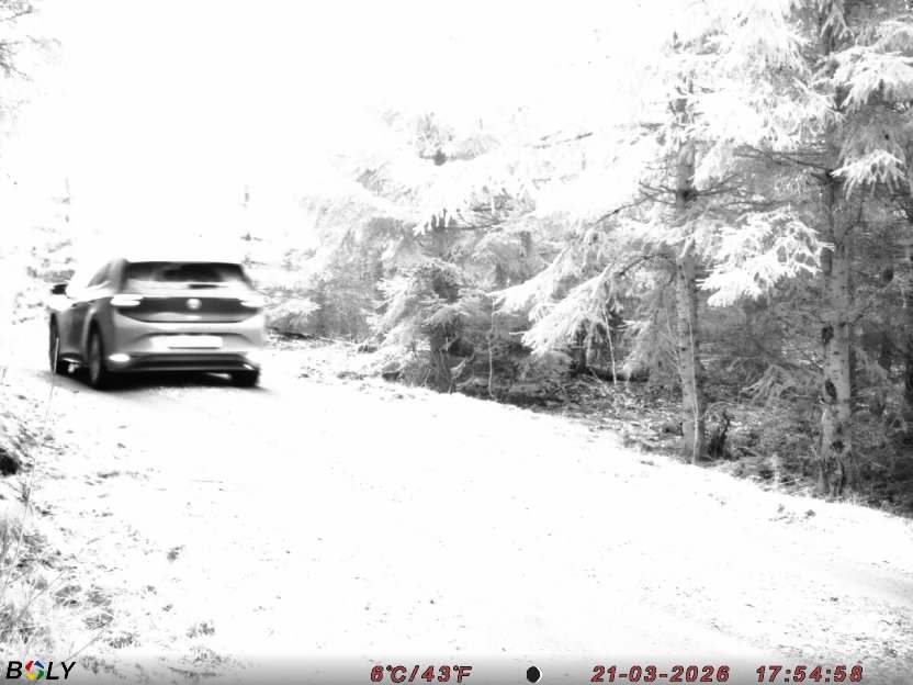 Bild från STORATRÄA