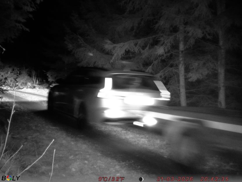 Bild från STORATRÄA