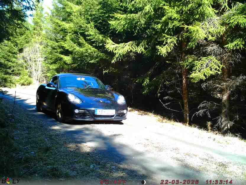 Bild från STORATRÄA