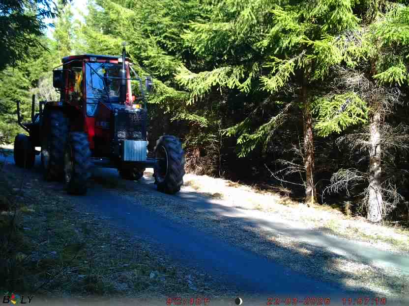 Bild från STORATRÄA