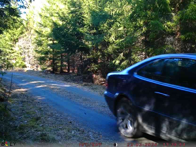 Bild från STORATRÄA