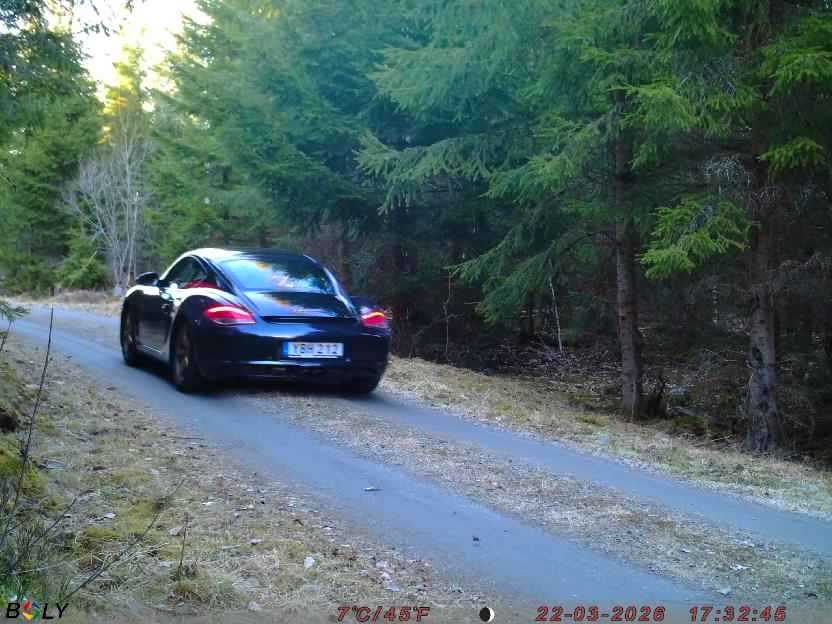 Bild från STORATRÄA