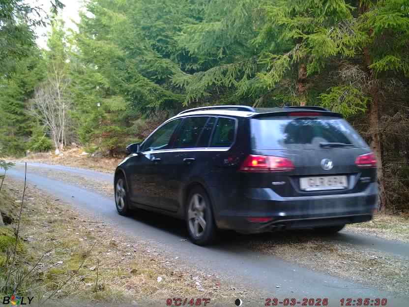 Bild från STORATRÄA