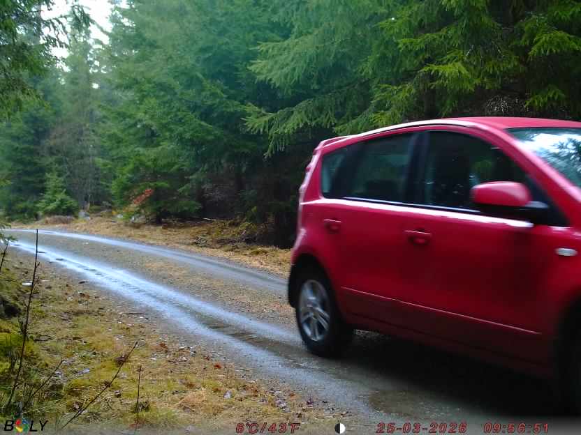 Bild från STORATRÄA