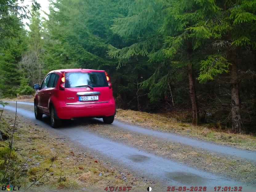 Bild från STORATRÄA