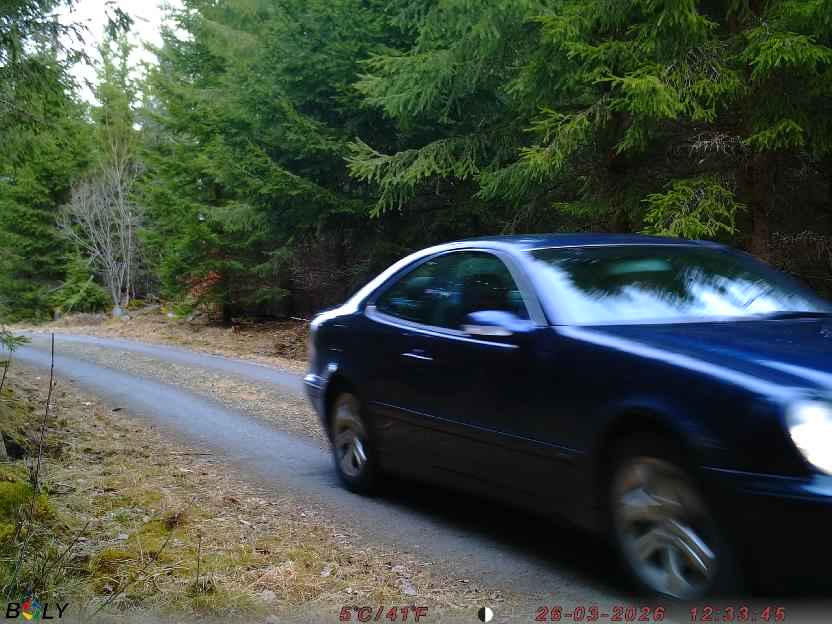 Bild från STORATRÄA