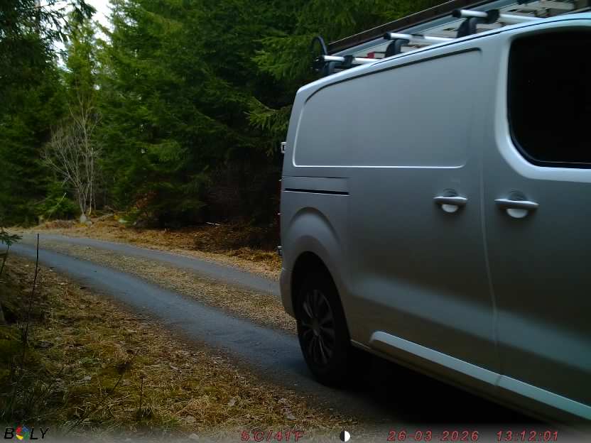 Bild från STORATRÄA