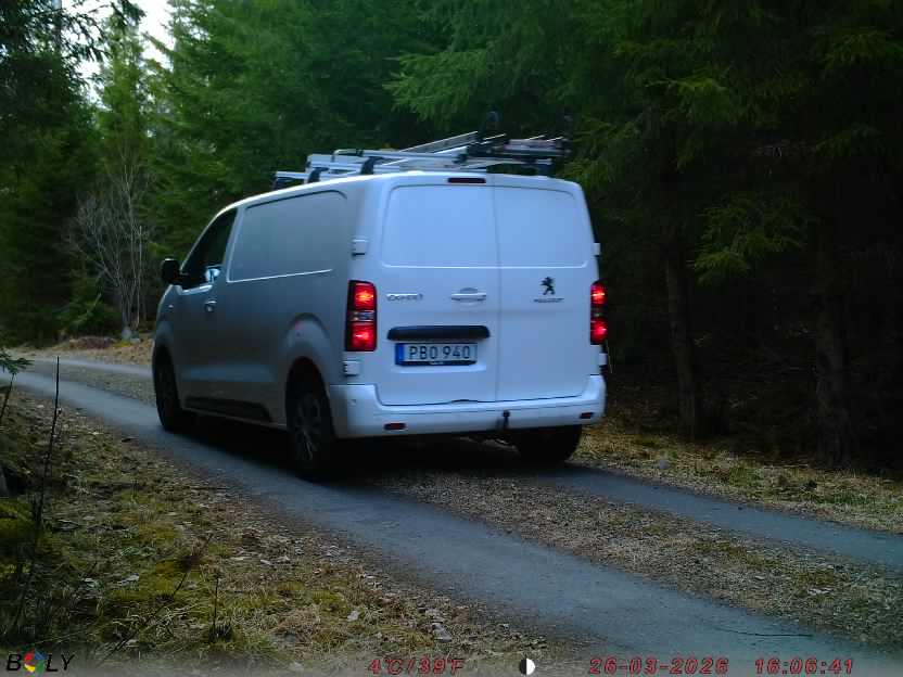 Bild från STORATRÄA