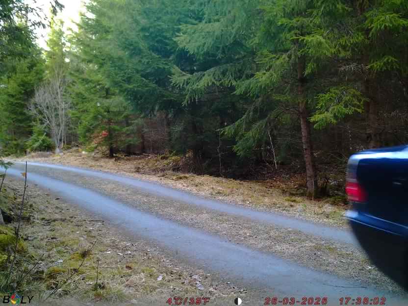 Bild från STORATRÄA