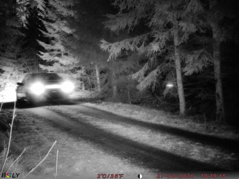 Bild från STORATRÄA