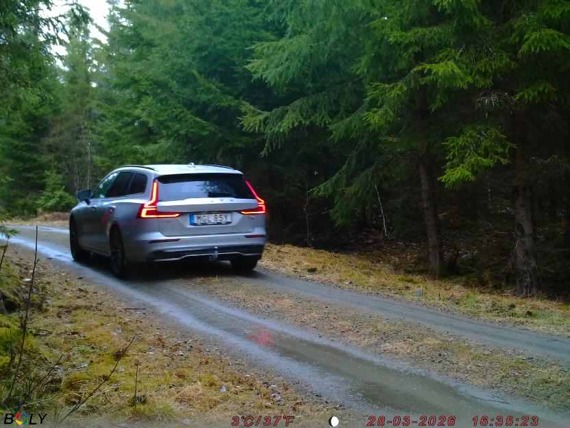 Bild från STORATRÄA