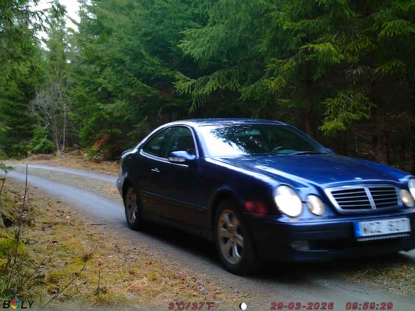 Bild från STORATRÄA