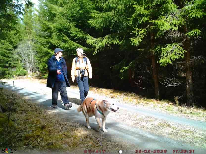 Bild från STORATRÄA