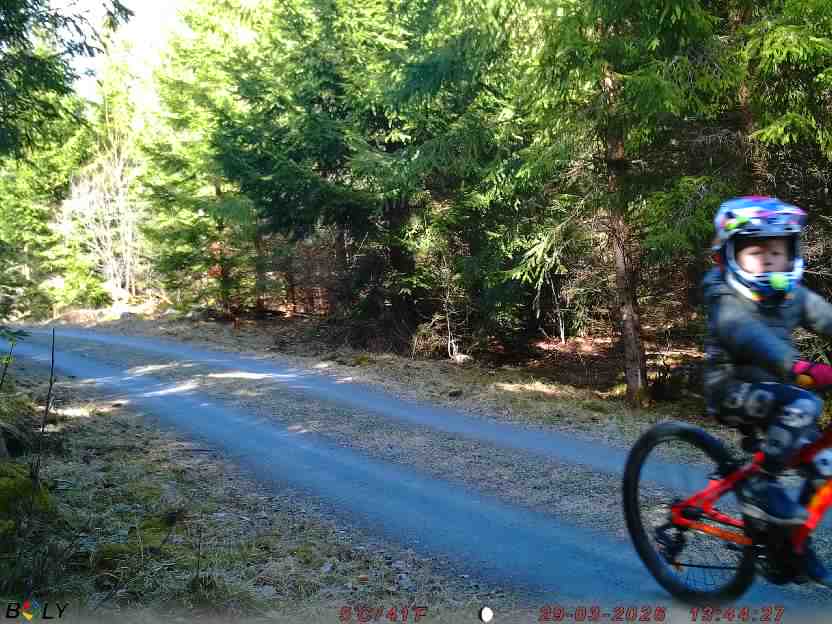 Bild från STORATRÄA