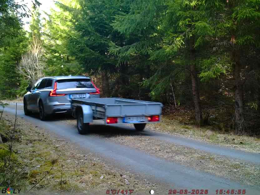 Bild från STORATRÄA