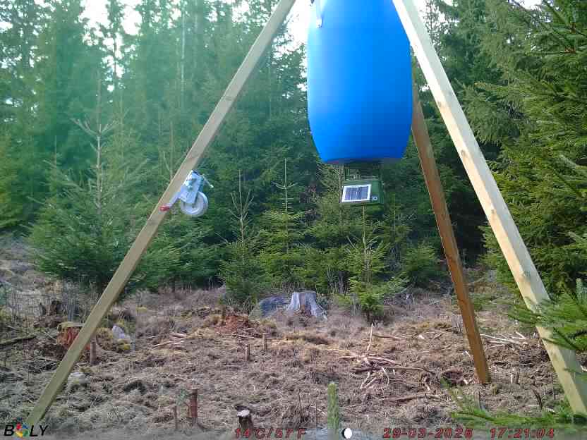 Bild från STORATRÄA