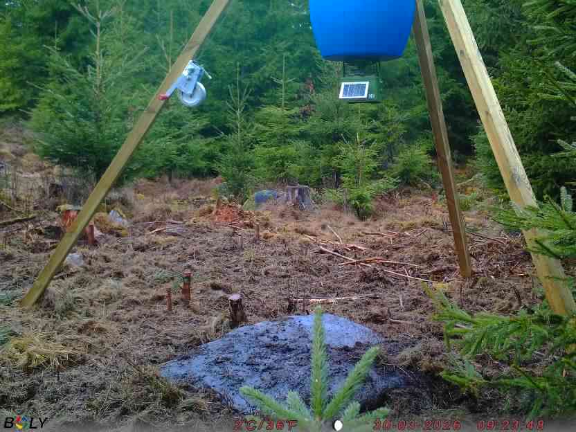 Bild från STORATRÄA