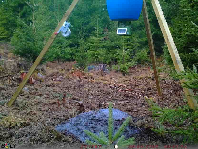 Bild från STORATRÄA