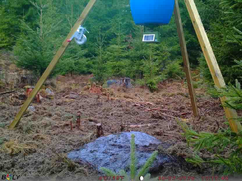 Bild från STORATRÄA