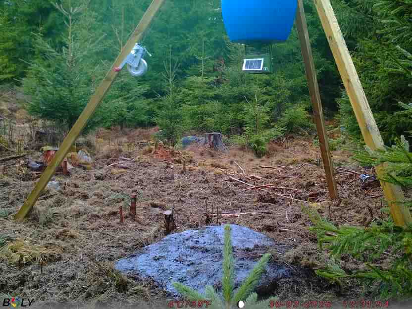 Bild från STORATRÄA