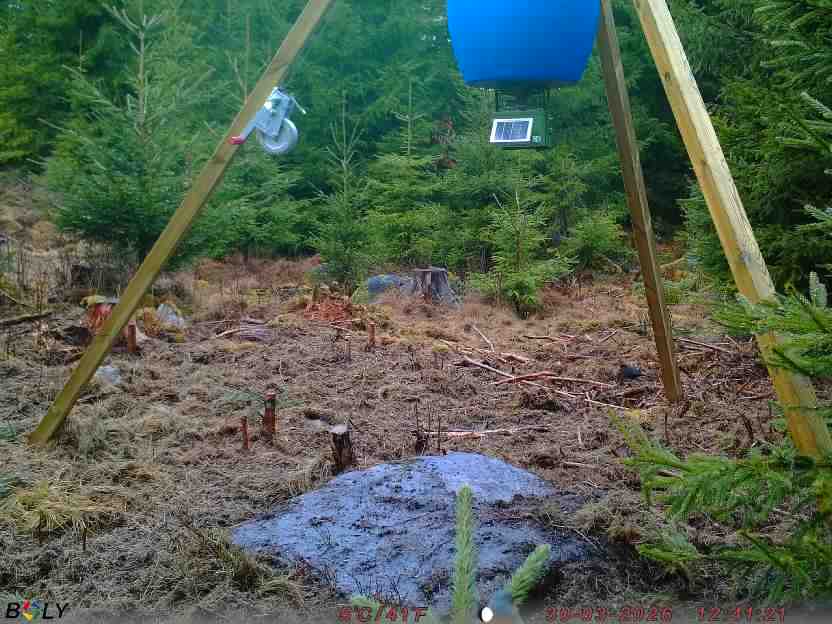 Bild från STORATRÄA