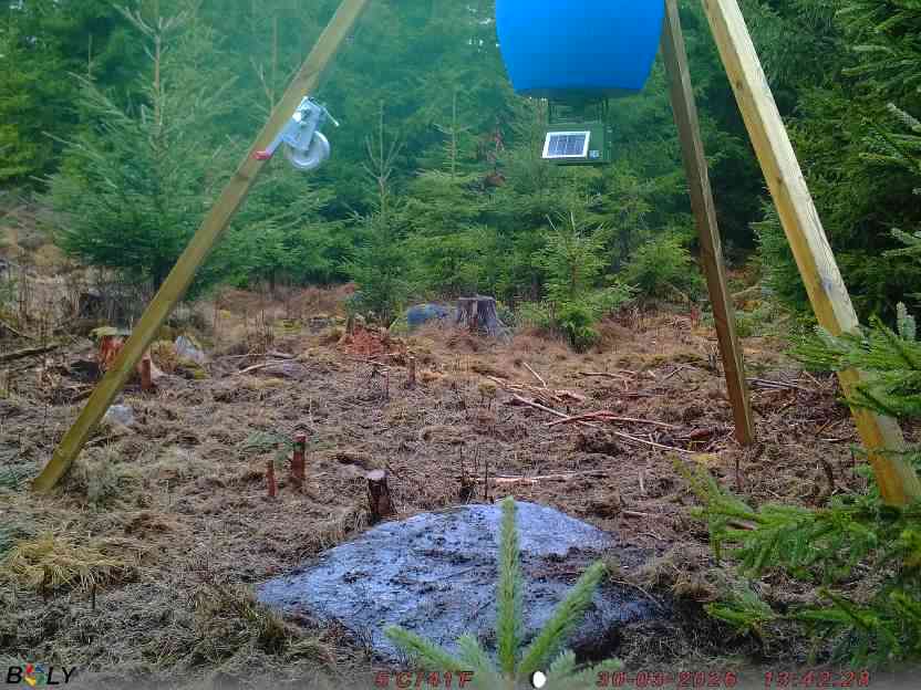 Bild från STORATRÄA