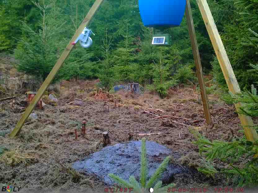 Bild från STORATRÄA