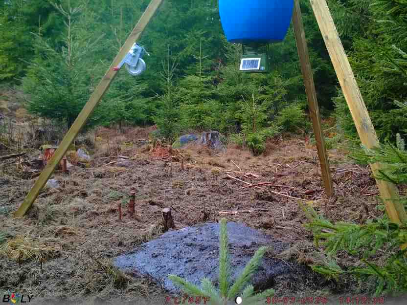 Bild från STORATRÄA