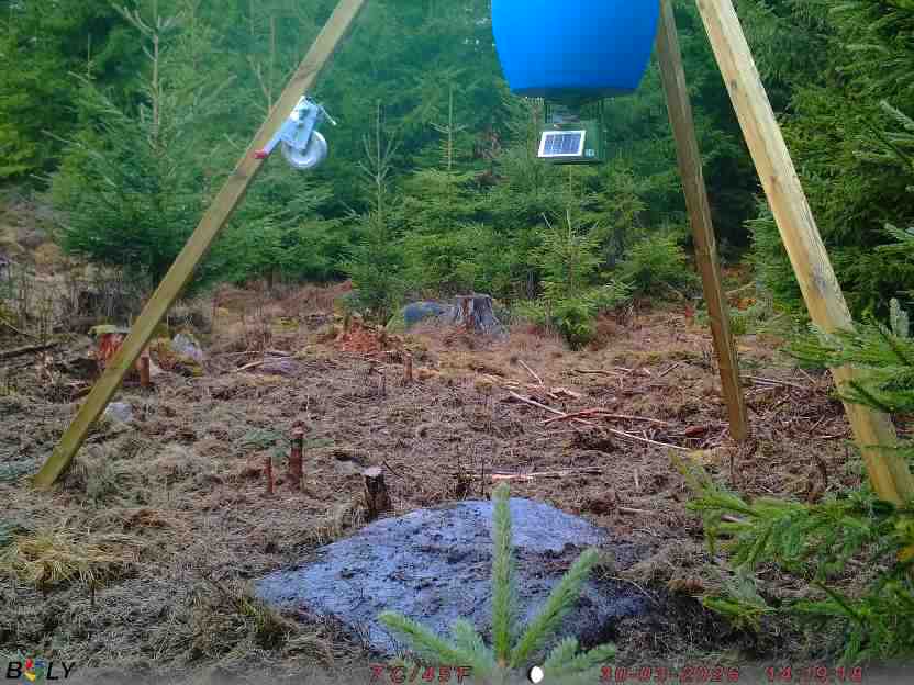 Bild från STORATRÄA