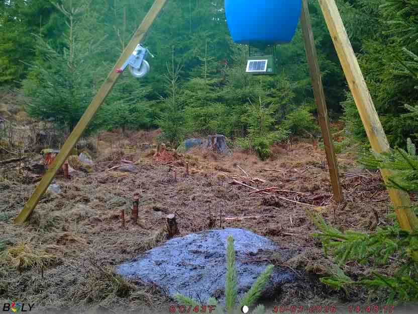 Bild från STORATRÄA