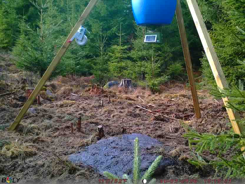 Bild från STORATRÄA