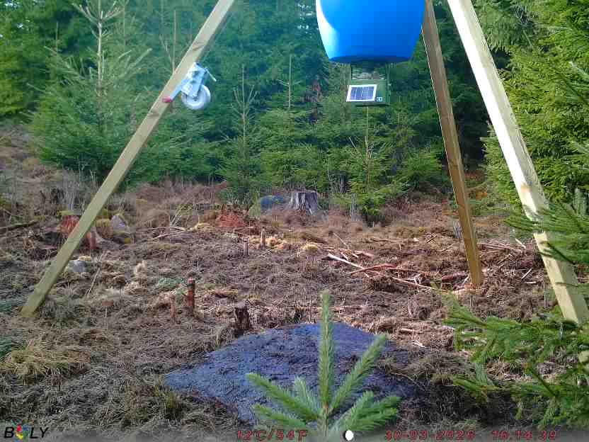 Bild från STORATRÄA