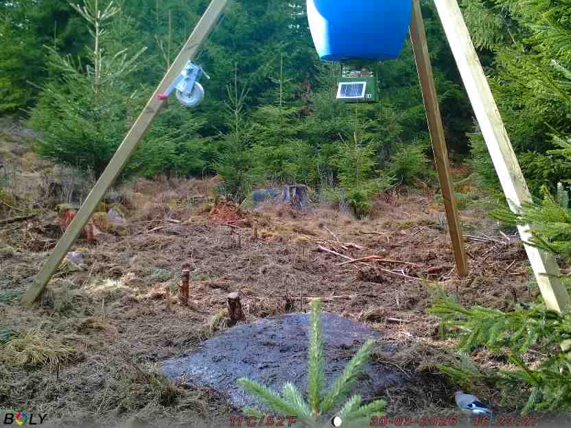 Bild från STORATRÄA