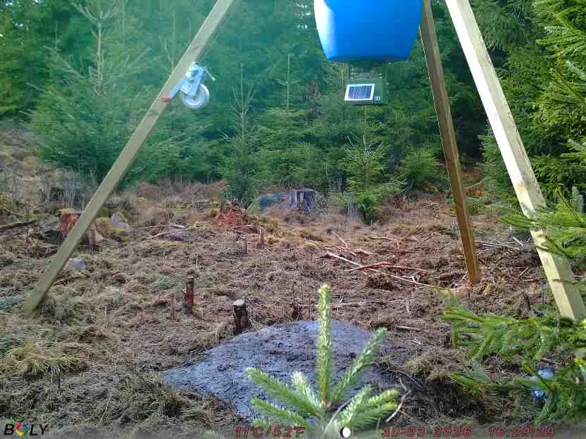 Bild från STORATRÄA