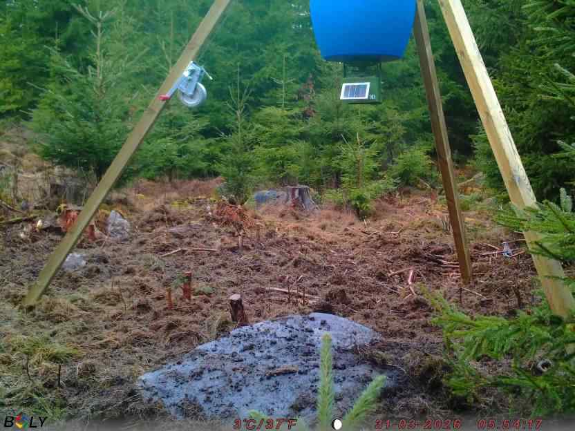 Bild från STORATRÄA