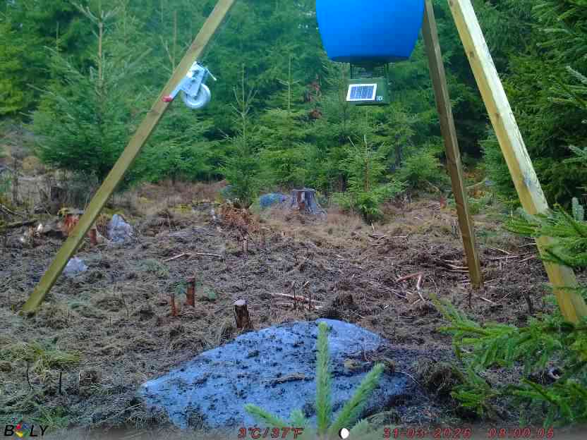 Bild från STORATRÄA