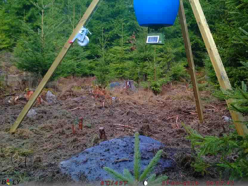 Bild från STORATRÄA