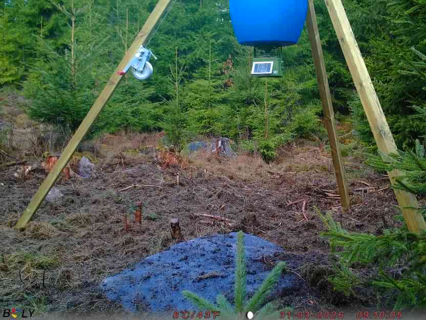 Bild från STORATRÄA