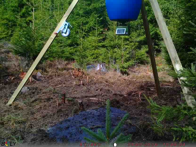 Bild från STORATRÄA