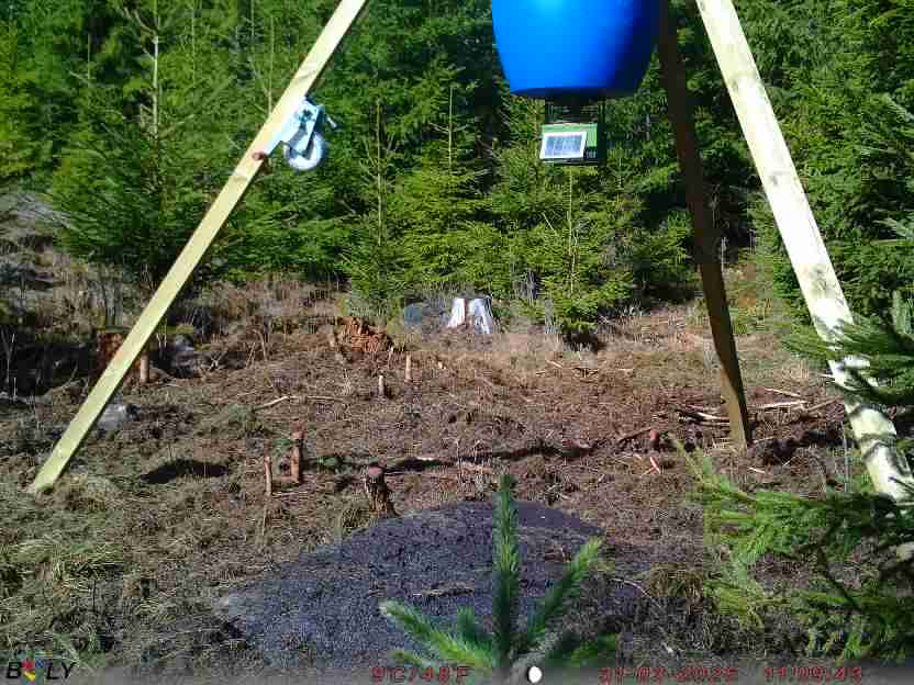 Bild från STORATRÄA