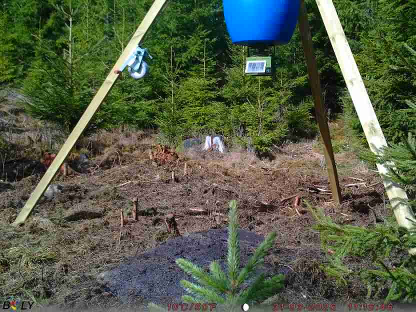 Bild från STORATRÄA