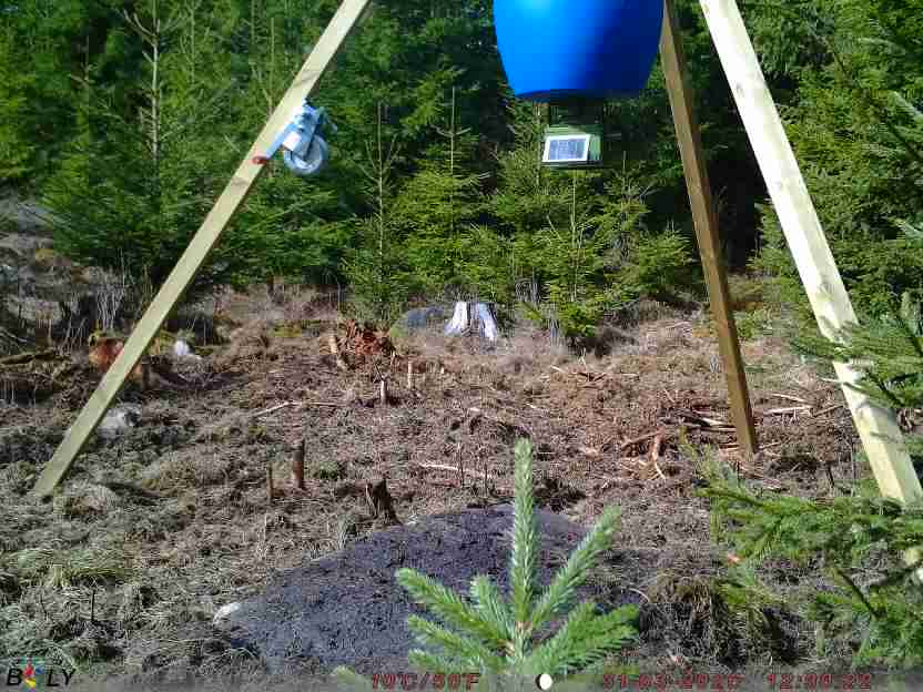 Bild från STORATRÄA