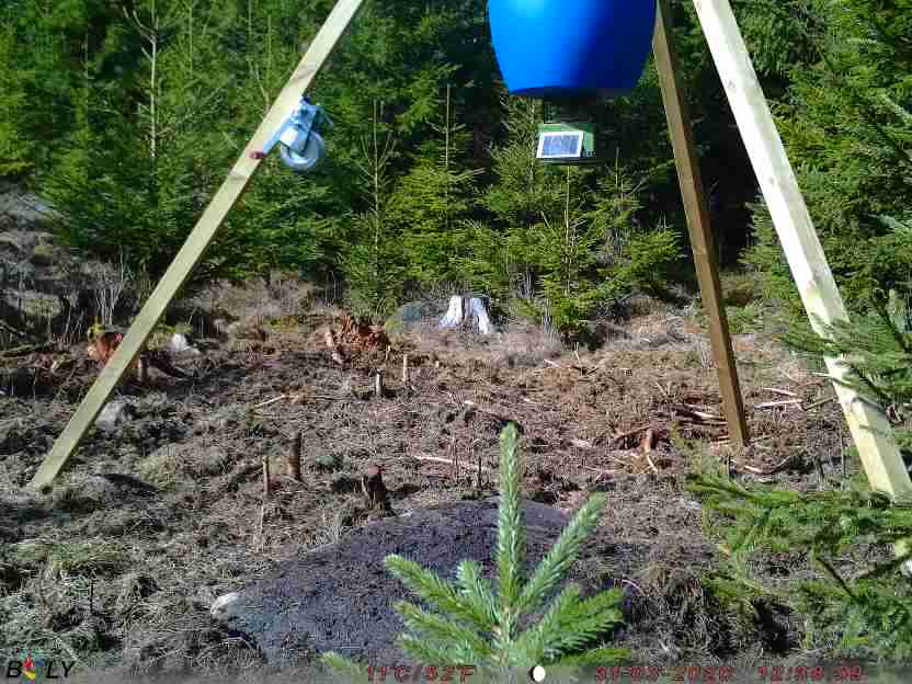 Bild från STORATRÄA