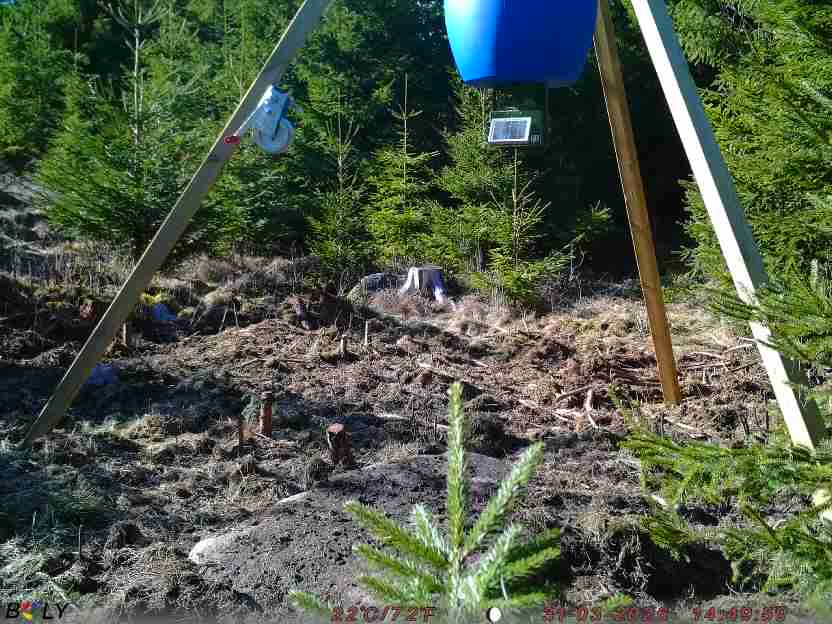 Bild från STORATRÄA