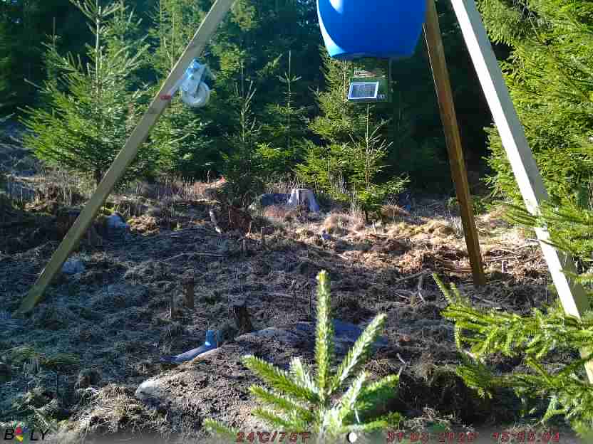 Bild från STORATRÄA