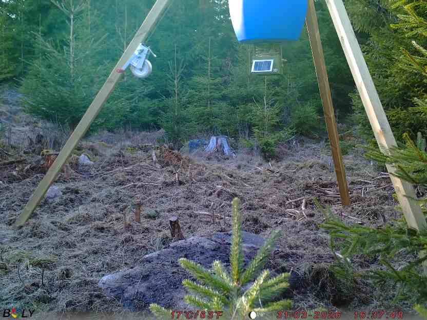 Bild från STORATRÄA